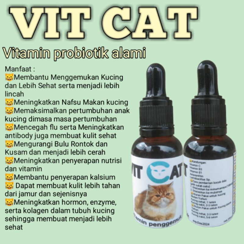 vitamin kucing penggemuk kucing super penggemuk kucing ampuh penggemuk kucing cepat suplemen kucing 
