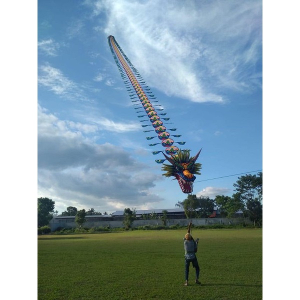 Giant Dragon kite ,Layang-layang Naga