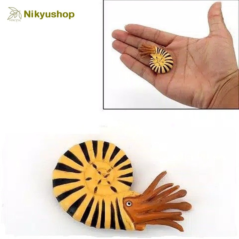[Nikyushop] Mainan Edukasi Miniatur Hewan Dinosaurus Fosil Ammonite Parapuzosia