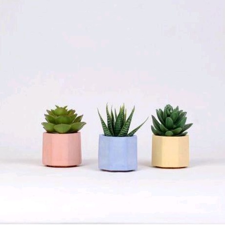 Jual pot kecil tanaman hias | Shopee Indonesia