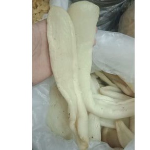 

LOBAK ASIN - 500 GR