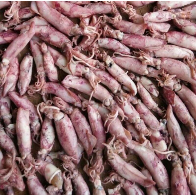 

cumi asin kemasan 500gr