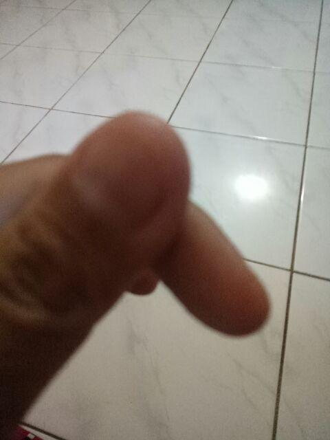 1 Set Tempat Tidur Barbie Dengan Tangga