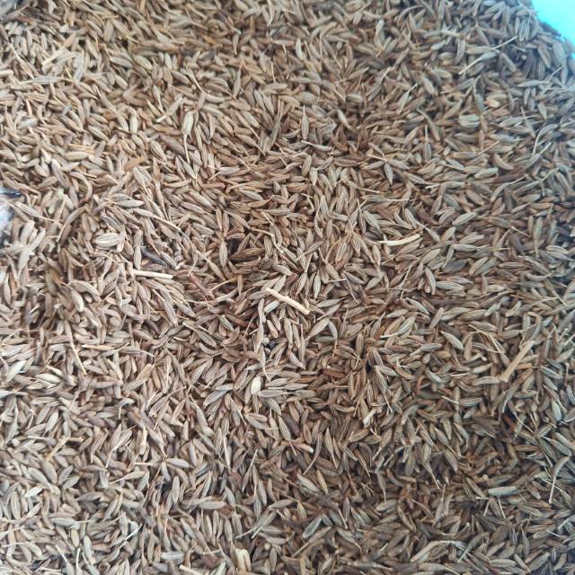 

Jintan Halus / Jintan Putih / Jeera / Cumin Seeds uk 100 gr