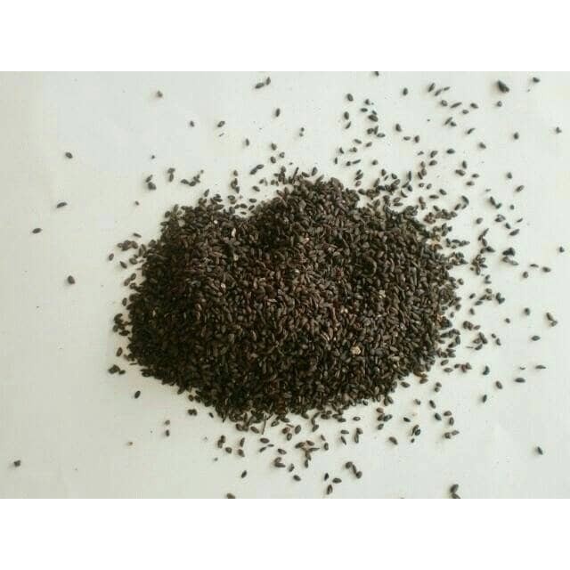 

CHE QIAN ZI SEMEN PLANTAGINIS PLANTAIN SEED SEEDS