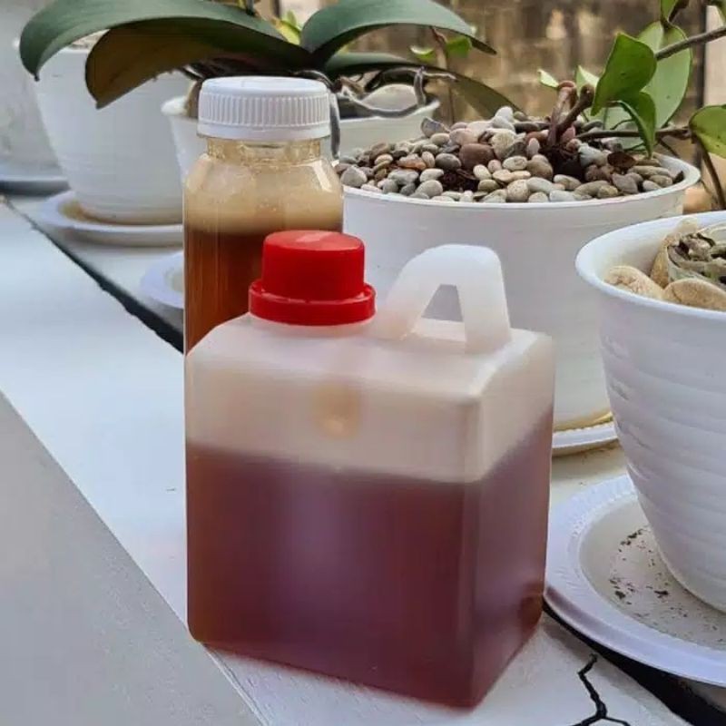 

madu hutan sialang palembang 900 gr