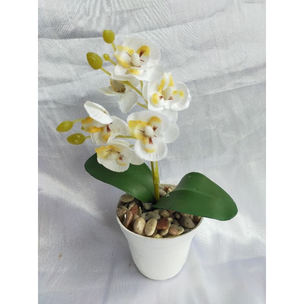 bunga anggrek mini/bunga anggrek plastik/bunga hias/artificial/termurah