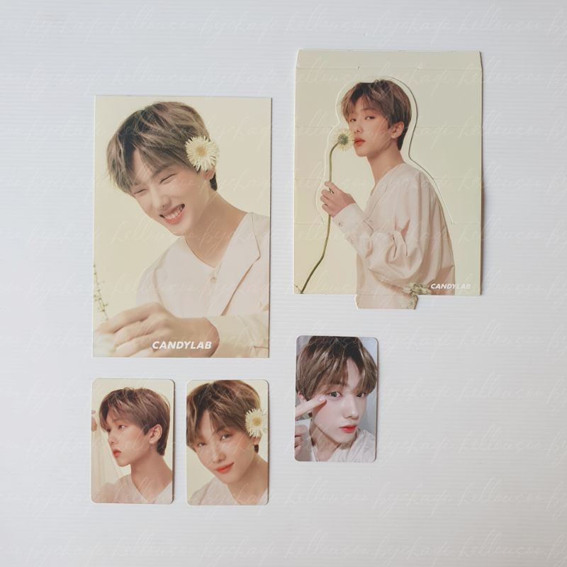 CANDYLAB V4 - Jisung