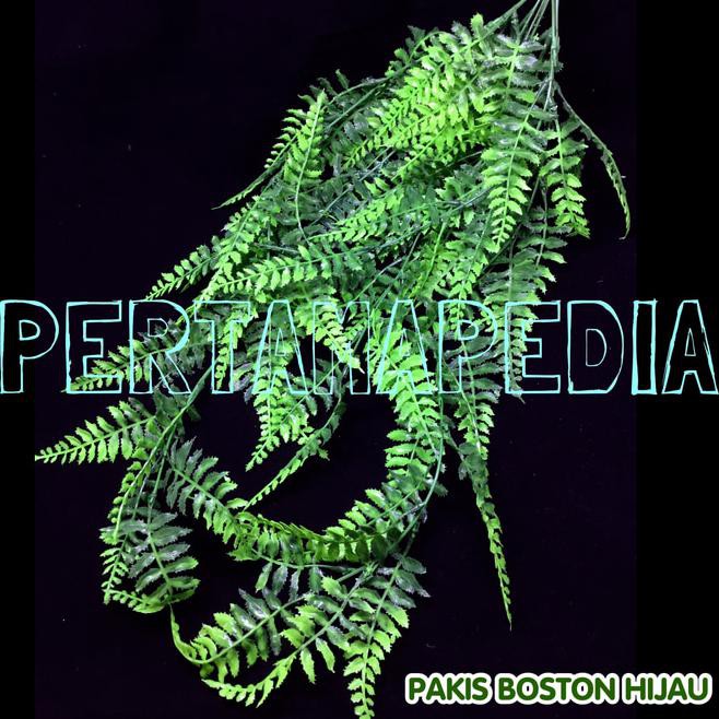 b686 paket daun bunga artificial/ daun bunga buatan pakis boston 2gl0
