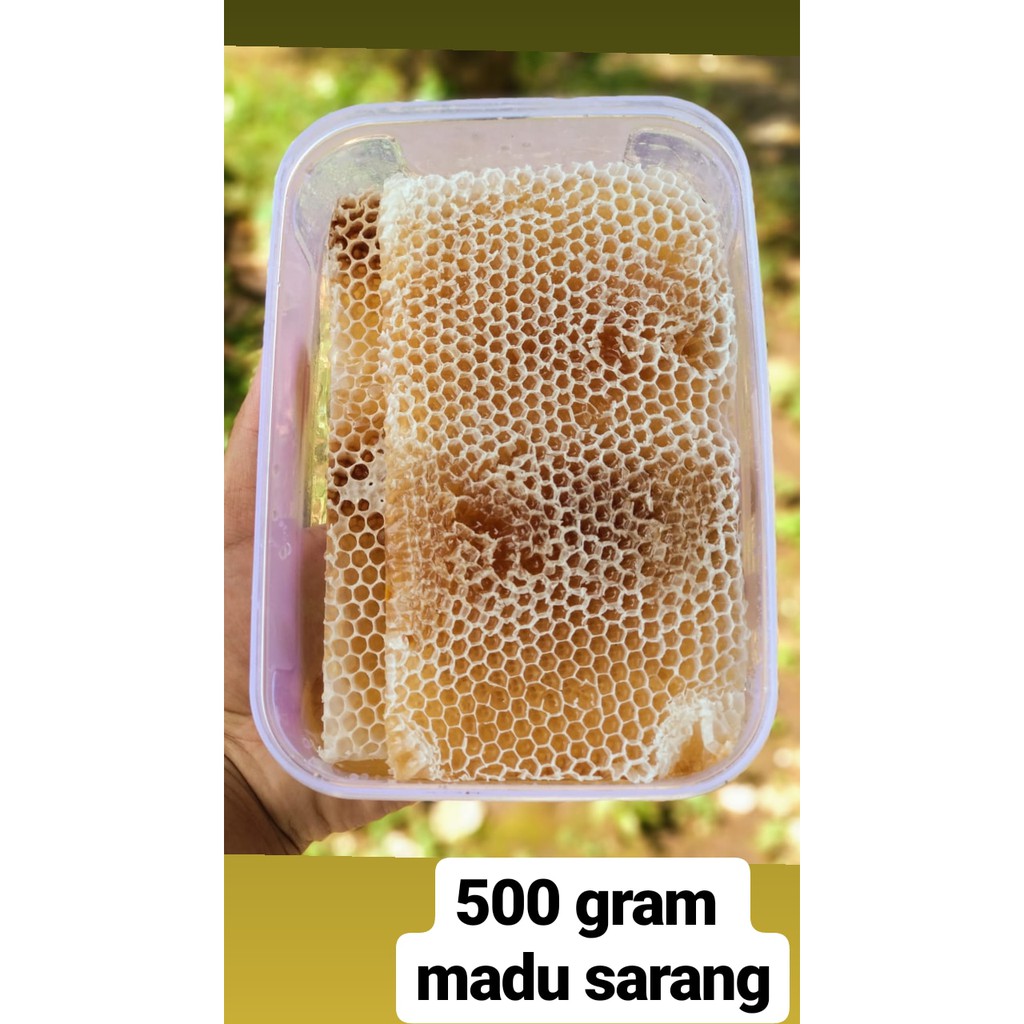 

Madu Sarang 500 gram Original Asli Honeycomb Melivera Kwalitas Super Murah