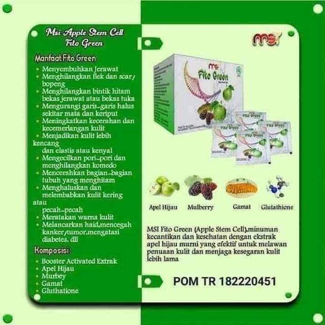 MSI Fito Green