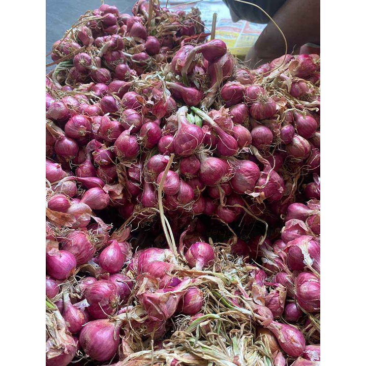 

Bawang Merah Aceh Segar
