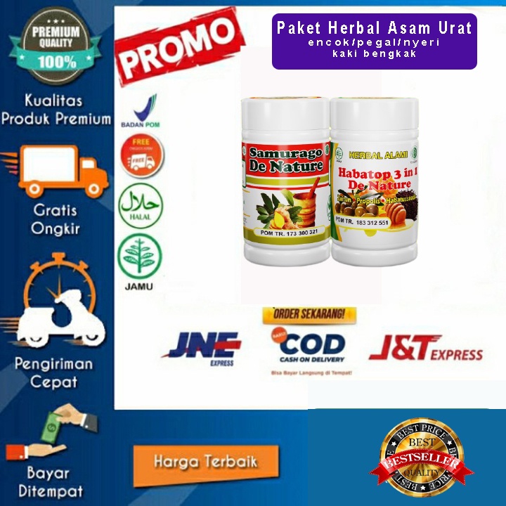 obat asam urat dan rematik