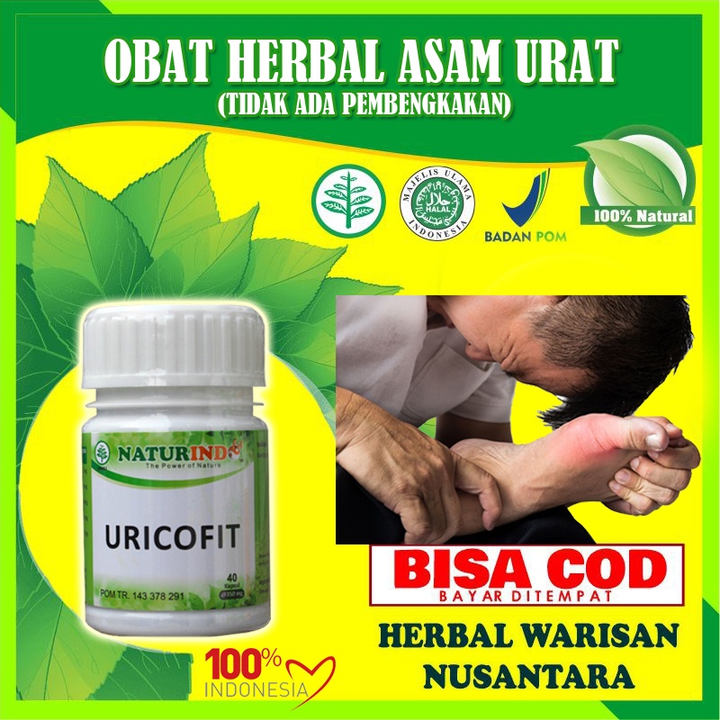 Obat Jamu Herbal Asam Urat Ampuh Obat Asam Urat Herbal Dan Flu Tulang Rematik BPOM URICOFIT Naturindo