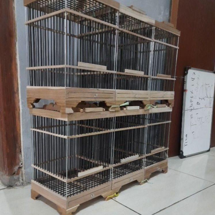 Paling Diminati Sangkar burung kecil ruji hitam