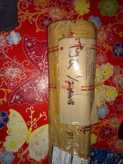 Bibit Gaharu Cabutan Jenis Malaccensis