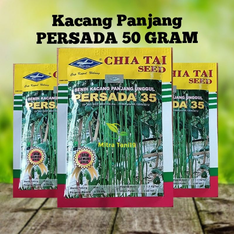 BENIH BIBIT TANAMAN SAYUR SAYURAN HIDROPONIK KACANG PANJANG PERSADA 35 50 GR CAP KAPAL TERBANG BISI