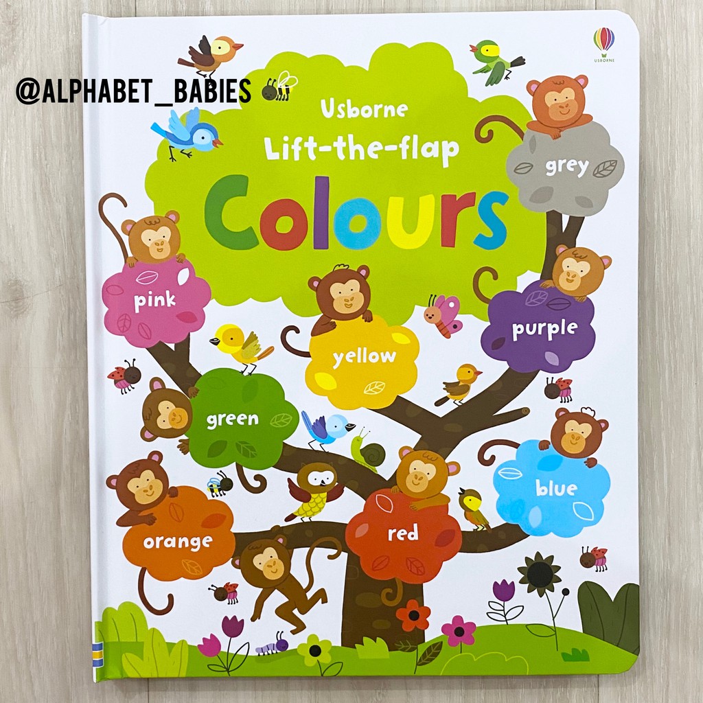 Usborne Lift The Flap Colours