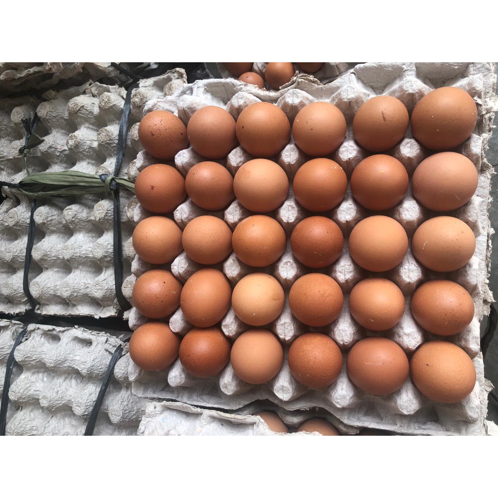 

RB FRESH TELUR AYAM NEGRI 1 KG / TELOR AYAM NEGRI / EGG 1 KG