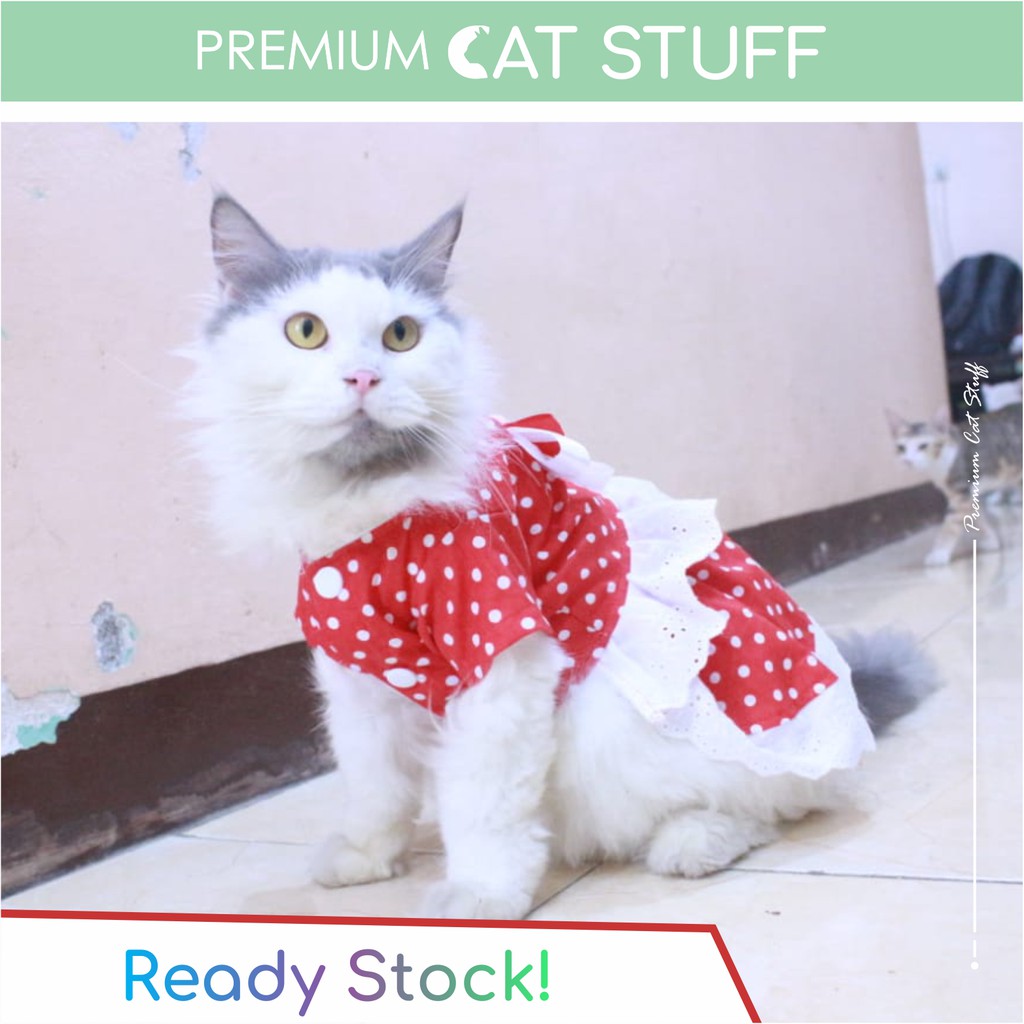 Premium Cat Stuff #22 | Dress Polkadot Merah code no. 22 / Dress kucing kualitas terbaik size S-XL