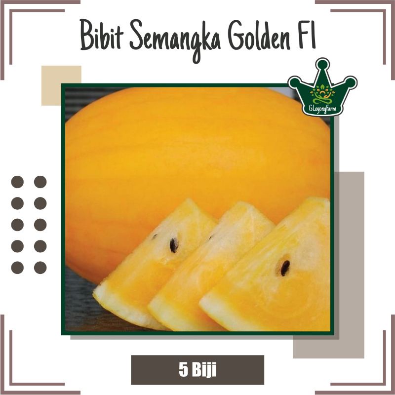 Bibit Semangka Golden F1 Hibrida - Bibit Buah