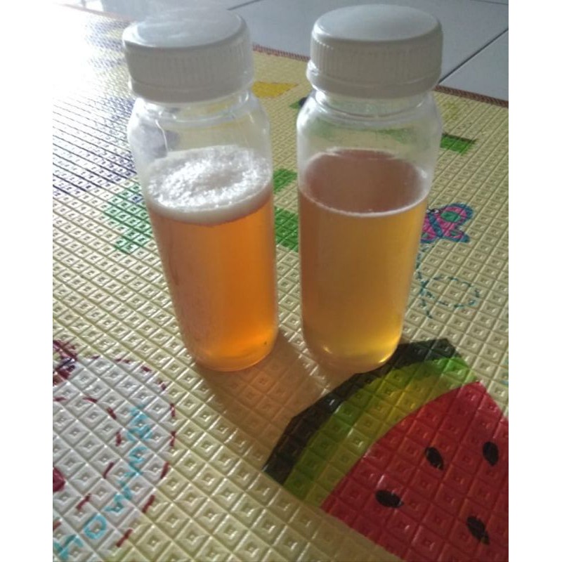 

madu kelulut(klenceng) Sumatra Barat