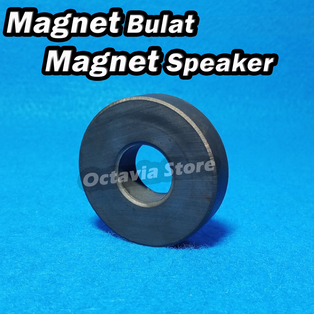 Magnet Bulat Magnet speaker