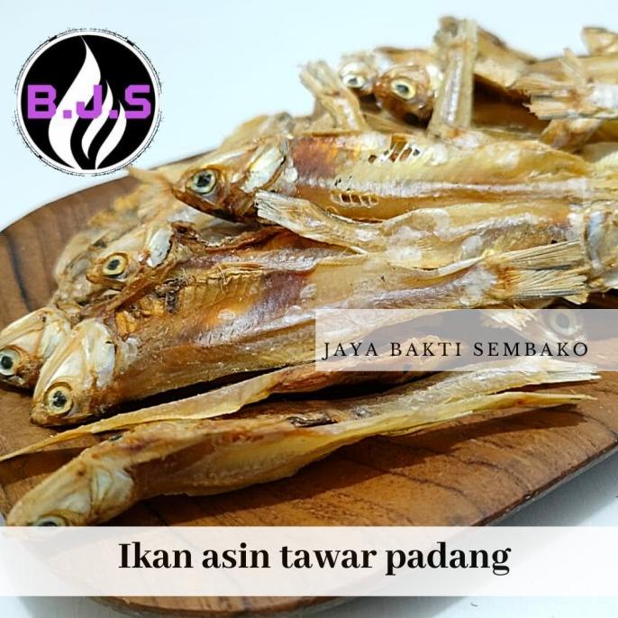 

TERLARIS IKAN ASIN TAWAR PADANG 250 GR STOK TERBATAS