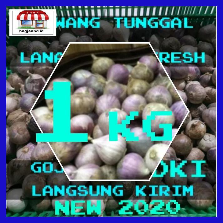 

R6Rey7- Bawang Putih Tunggal / Bawang Lanang 1000 Gram T8Rjur-