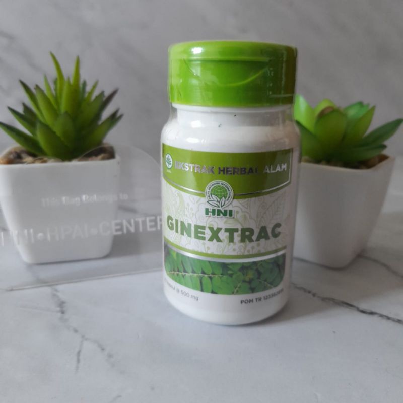 Ginextrac HPAI HNI Obat Batu Ginjal Obat Batu Empedu Paling Ampuh