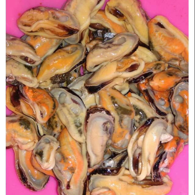 Kerang Kupas 500 Gram Shopee Indonesia