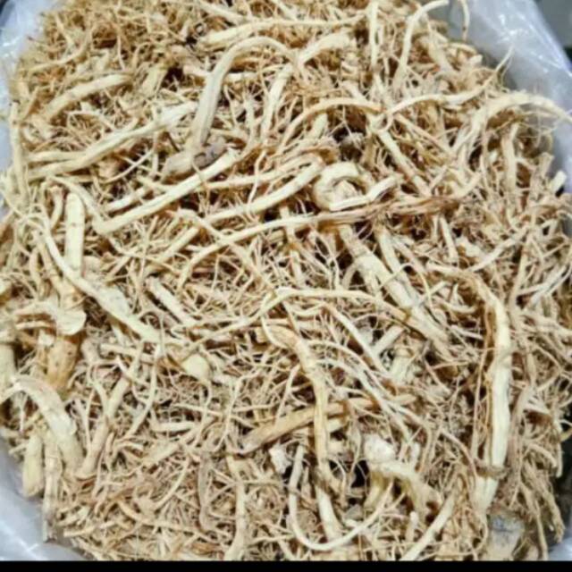 

Akar ginseng