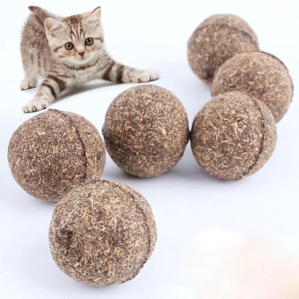 Catnip Ball Treat Kucing Catmint Ball Snack Kucing Cat Toys Mainan Kucing FEFARM