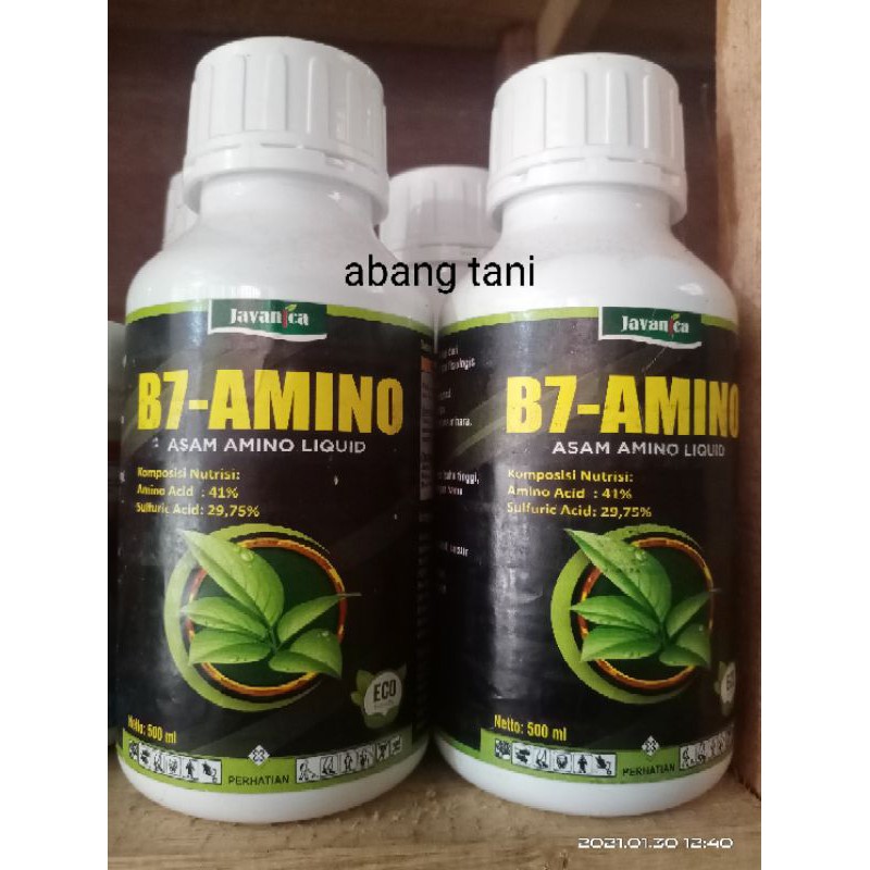 B7 amino 500ml