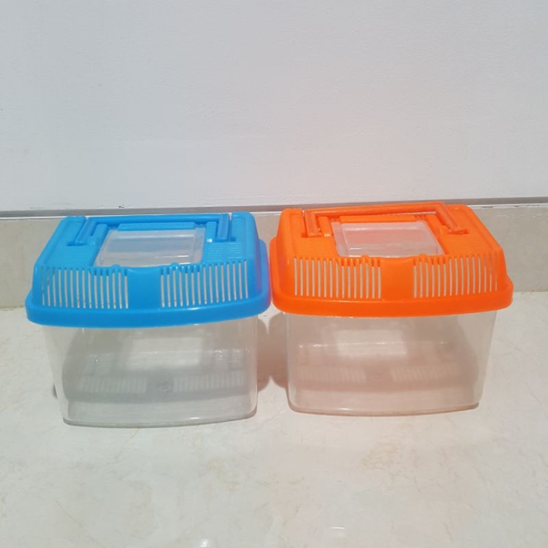 Tempat kura-kura kecil / cupang / umang-umang / umang kelomang / keong kecil