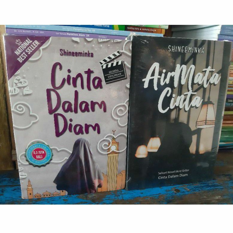 Resensi Novel Cinta Dalam Diam Shineeminka