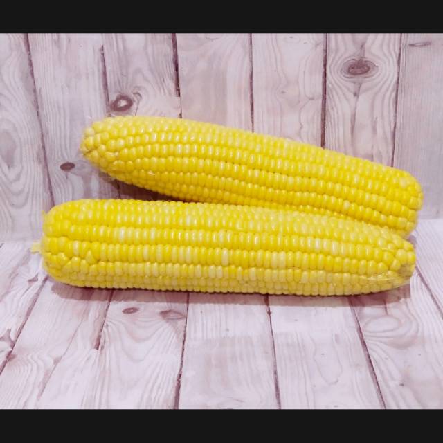 

Jagung manis 750g 2 pc (Mohon baca di keterangannya unt pemesanan)