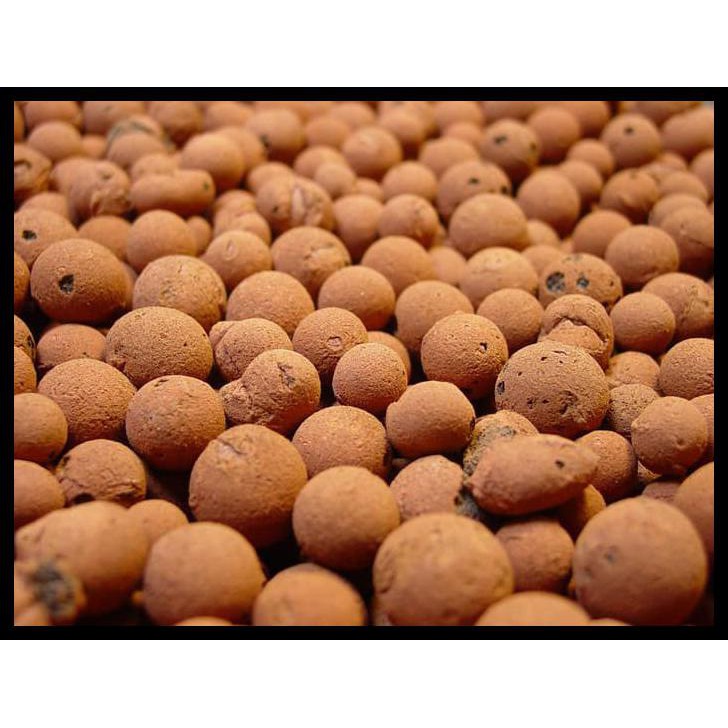 

Terpopuler Hidroton Jerman - Harga Lokal Kualitas Import. Jual Per 1 Liter