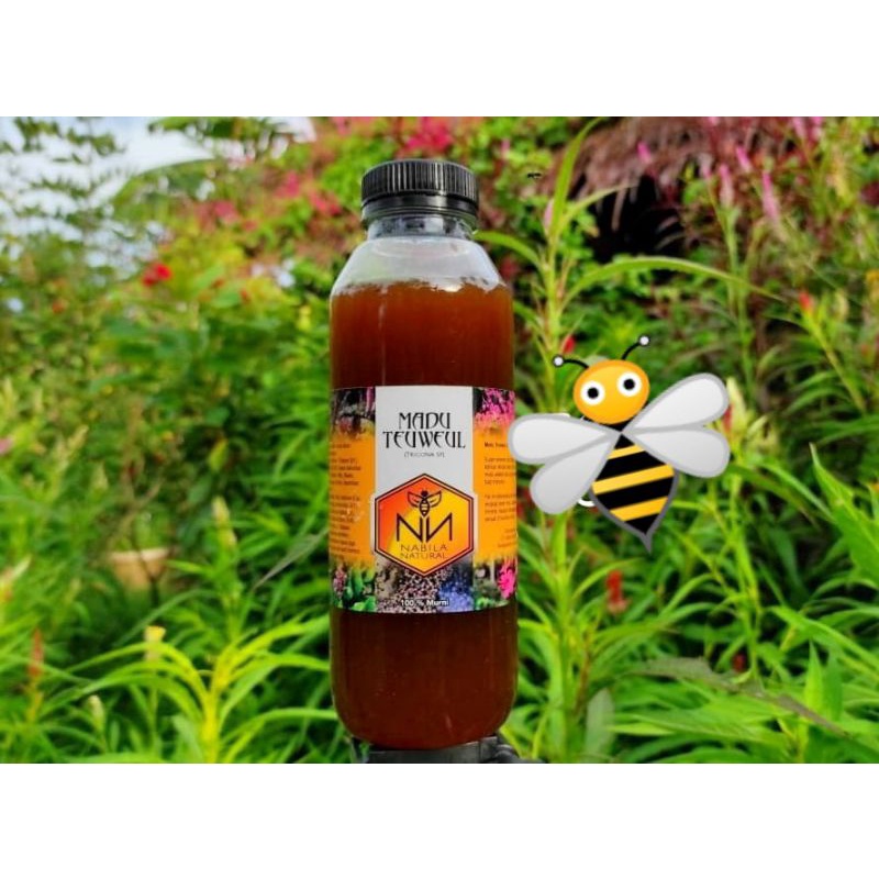 

MADU TEWEUL / KLENCENG LEBAH TRIGONA SP 100% MUTNI