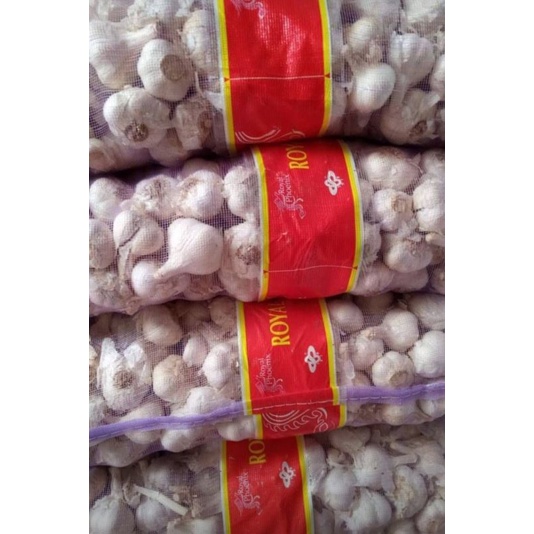 

bawang putih kating