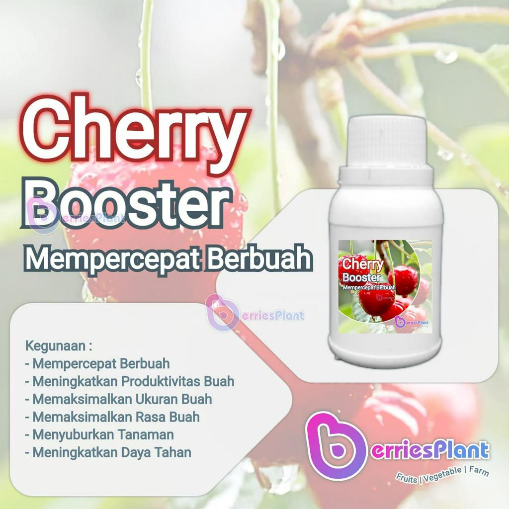 Booster Cherry SUPER | Mempercepat Berbuah | Perangsang Bunga  |  Perangsang Buah | Cepat Berbuah | 