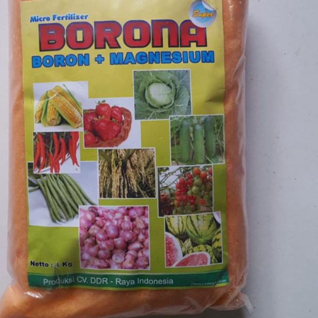 ✦ Pupuk Super BORON + MgO 1KG ➶