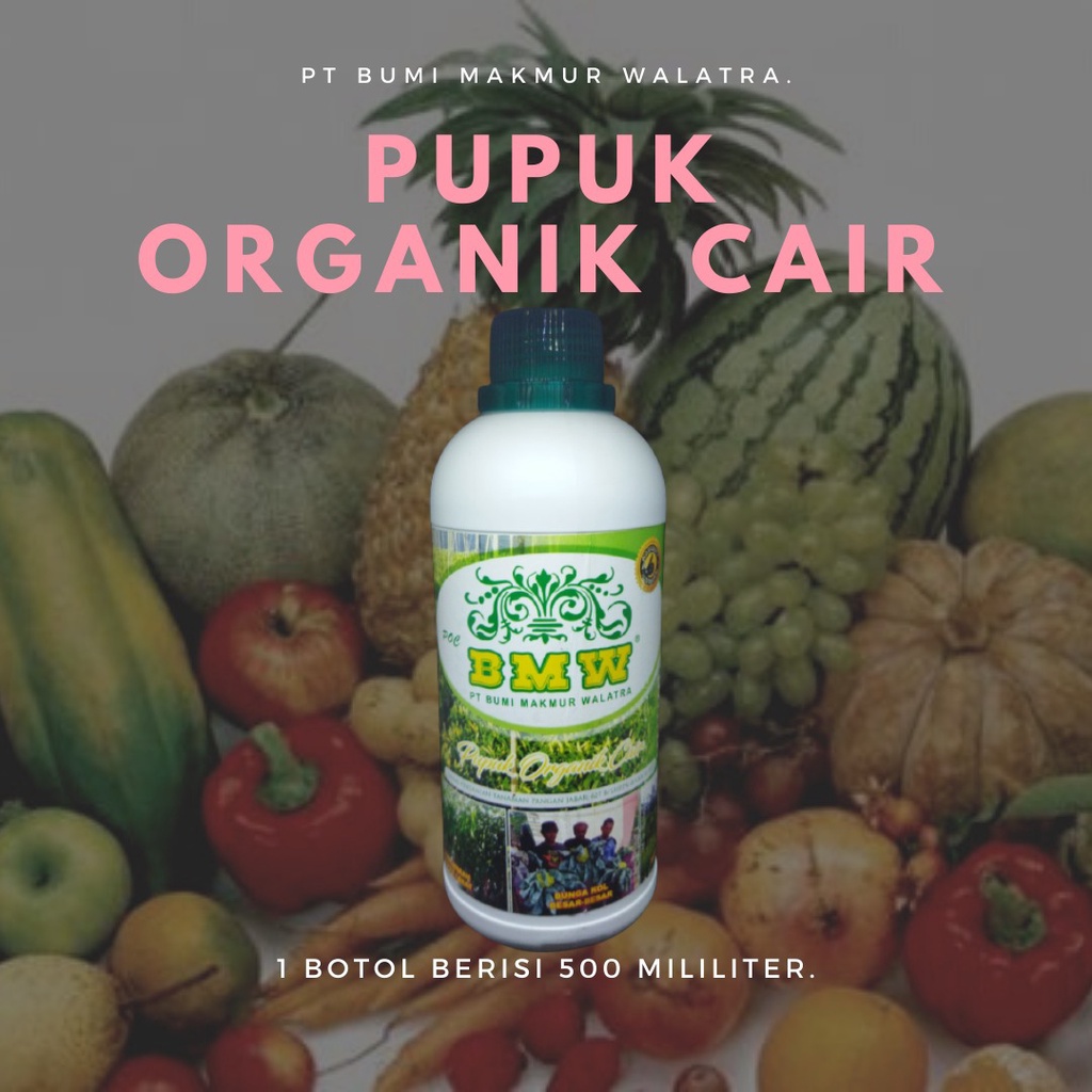 pupuk Hormon organik cair untuk cabe buah bungkol padi  Perangsang Buah Mangga POC BMW 500 ml Tanama