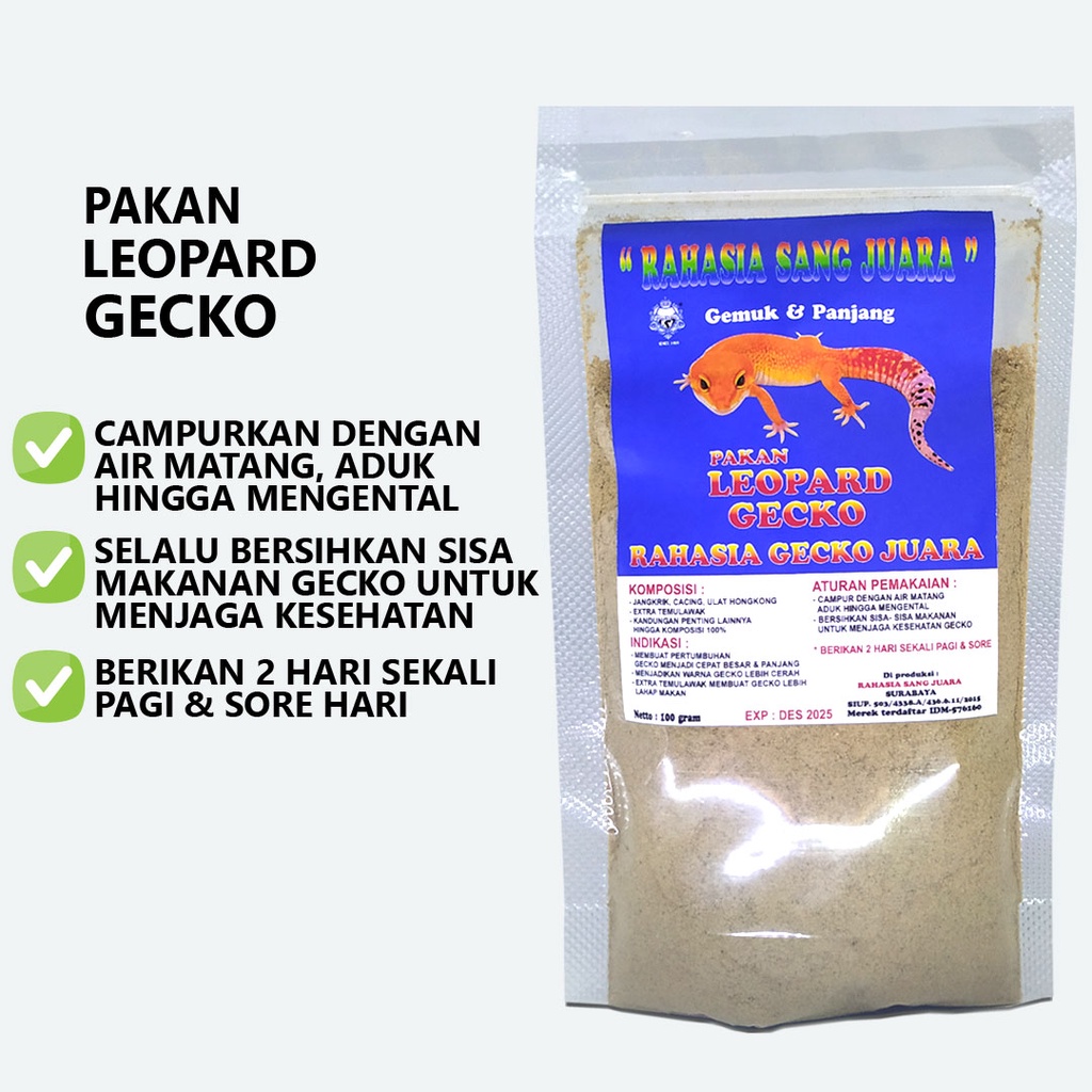 PAKAN GECKO LEOPARD GEMUK DAN PANJANG