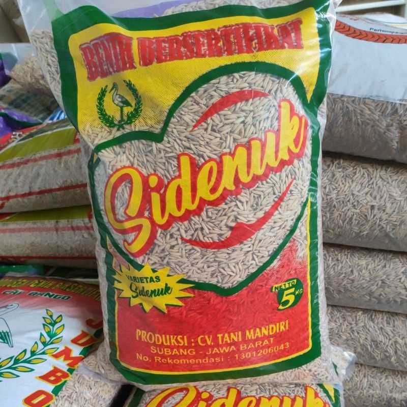 Benih Padi Unggul Bersertifikat Inpari Sidenuk Label Ungu 5 kg