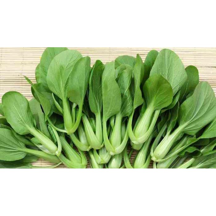 

Sayur BABY Pakcoy Pak Choy Sawi Sendok Coysam Bok Choy 100 gr