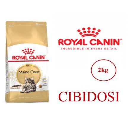 ROYAL CANIN ADULT MAINE COON 2KG