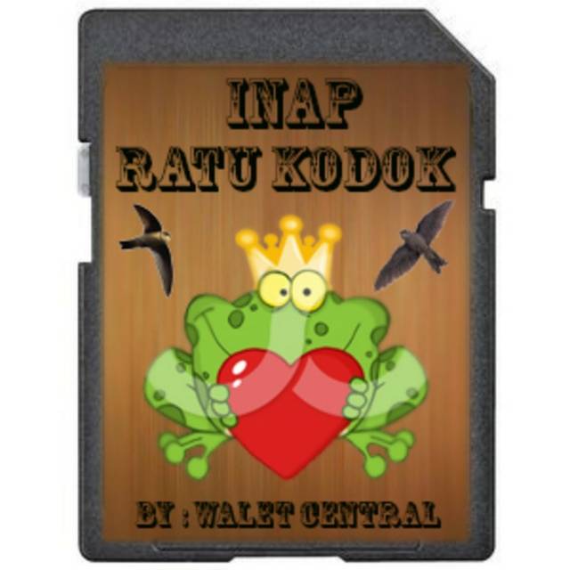 Suara Walet inap Ratu Kodok Asli