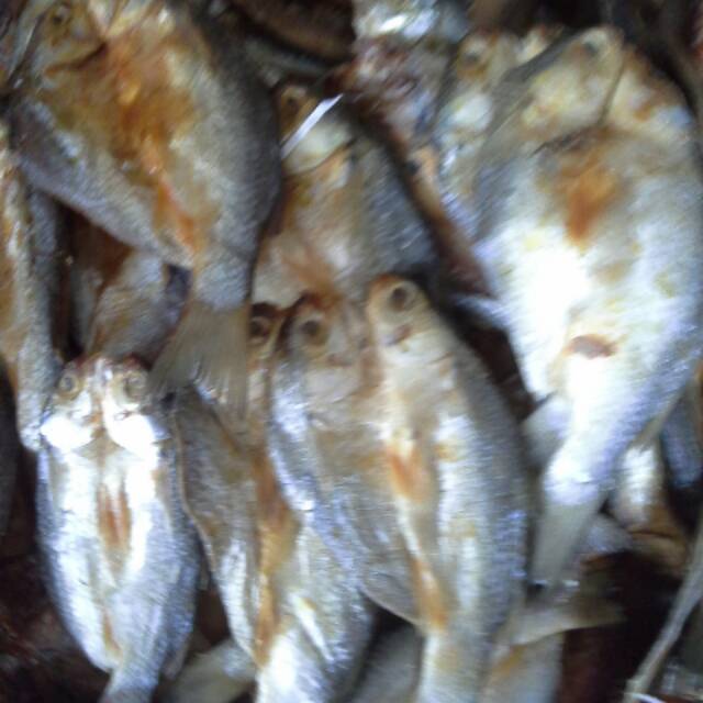 

Ikan asin belanak 250 gr bangka belitung