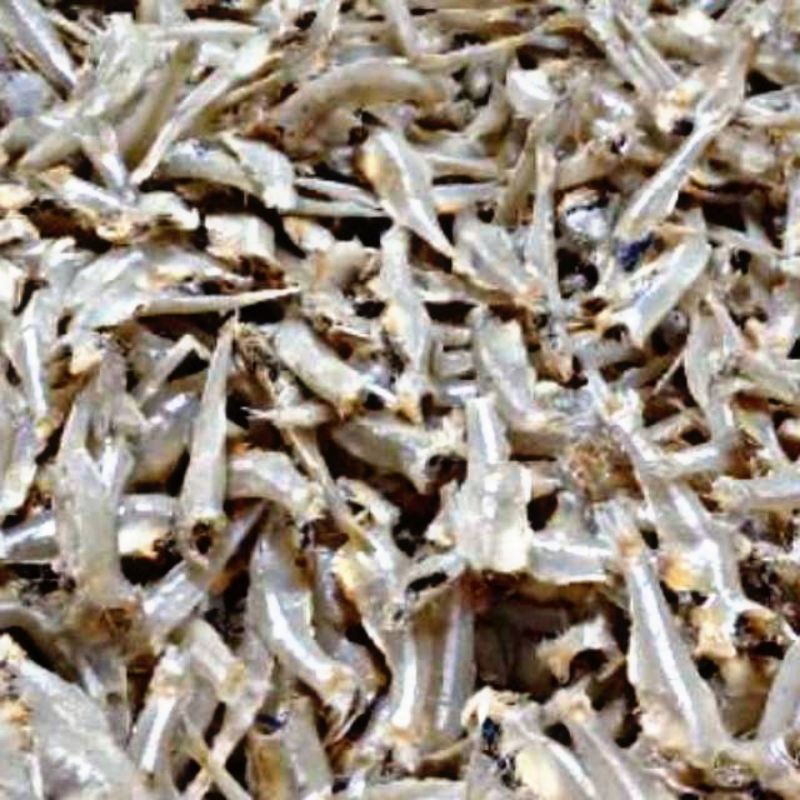 

Ikan Asin Teri Daging 250gr Aneka Ikan Asin Kebutuhan Rumah Tangga Sayuran Fresh